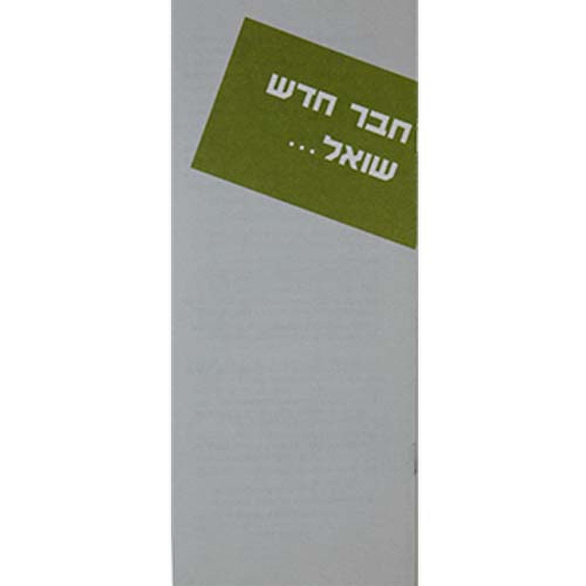 Hebrew - A Newcomer Asks