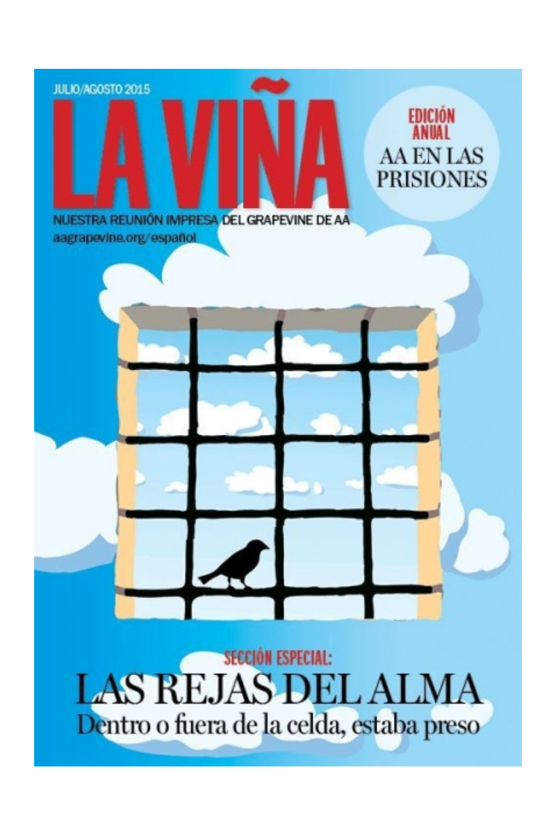 La Viña Magazine (Spanish) - Bundle of Five (5)