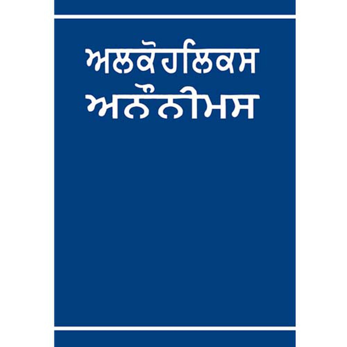 Punjabi - Big Book