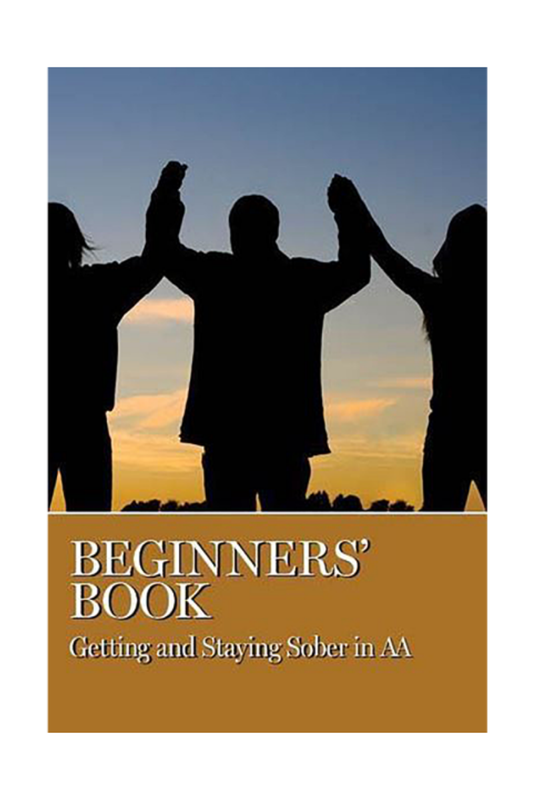 Beginner's Book