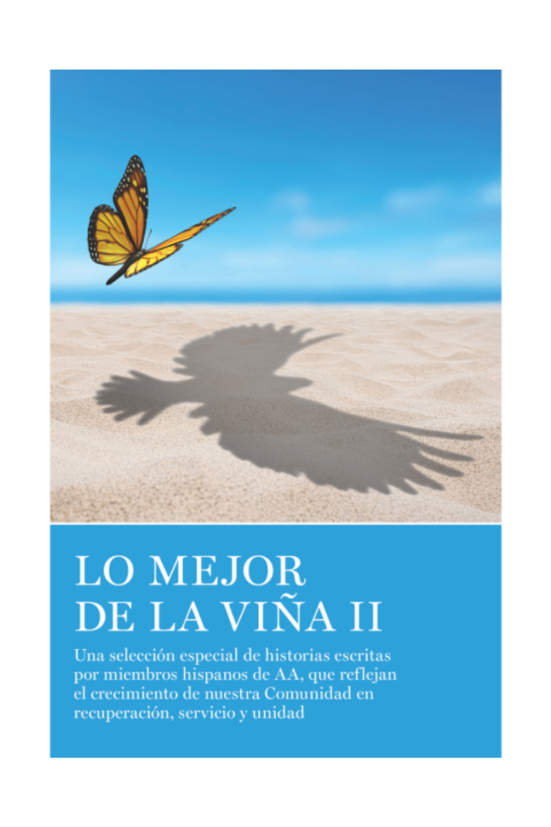 Lo Mejor De La Viña II