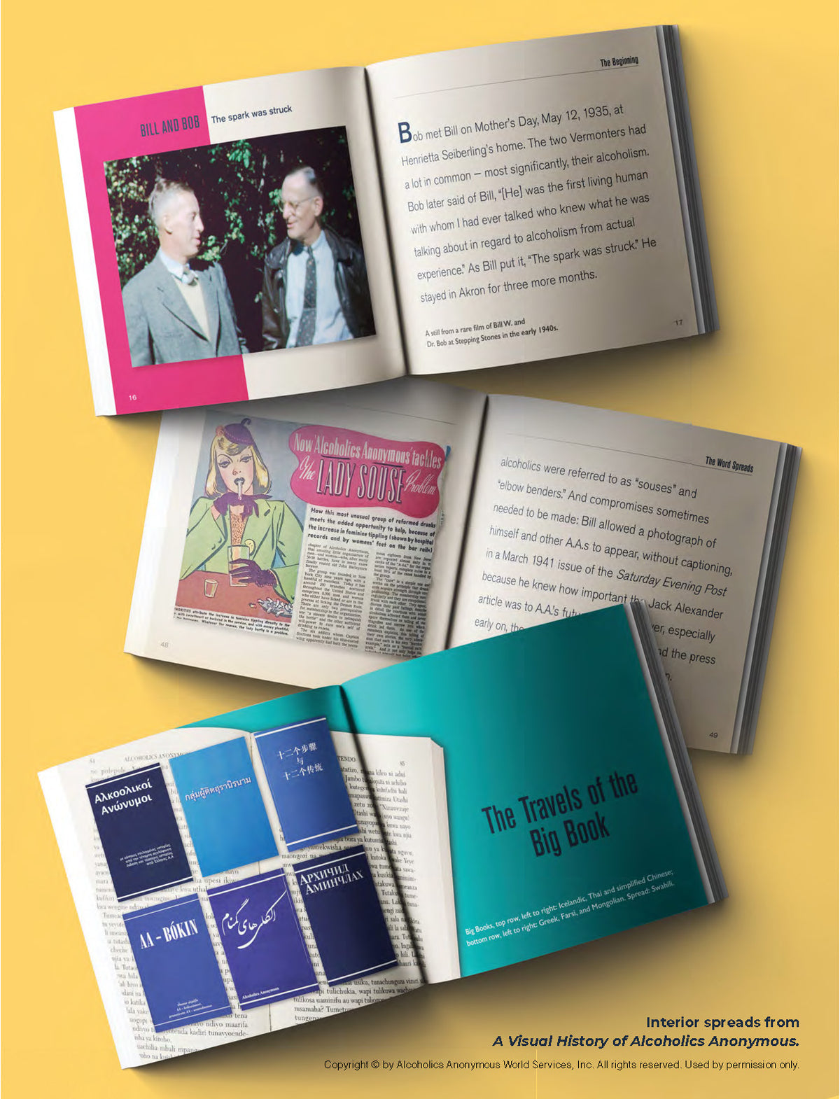 A Visual History of Alcoholics Anonymous (Collector's Edition)