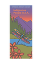 Indigenous People in A.A
