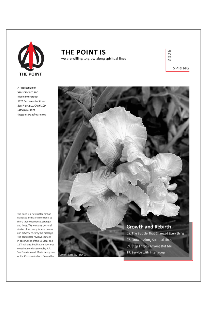 The Point Newsletter (FREE)