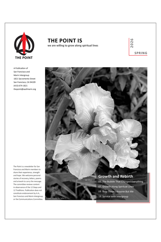 The Point Newsletter (FREE)