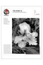 The Point Newsletter (FREE)